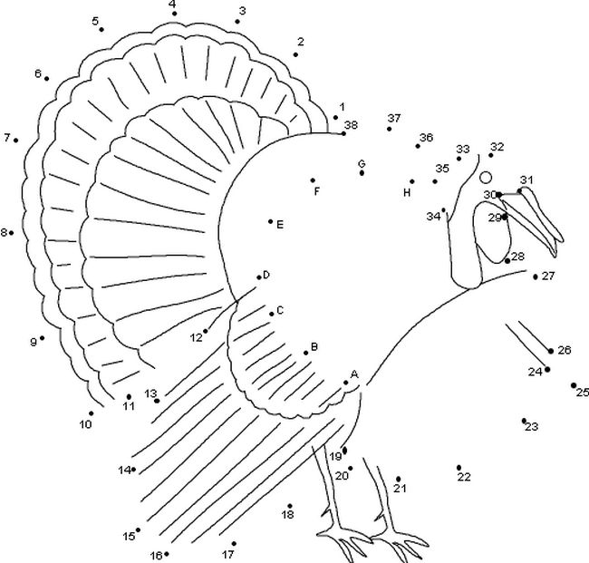 immagine Natale Turchia
